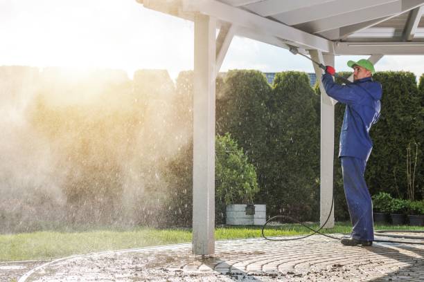 Best Brick and Stone Cleaning in Norwalk, IA